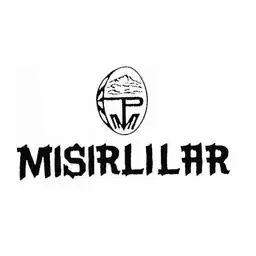 Asil Patent müvekkili — Logo 158