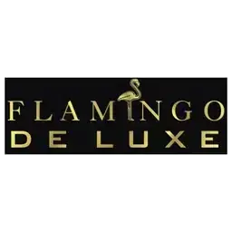 Asil Patent müvekkili — Flamingo Deluxe
