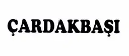 Asil Patent müvekkili — Logo 85